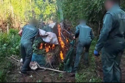 UNESCO Dünya Kültür Mirası Listesi'nde yer alan Hevsel Bahçeleri'nde 2 milyar TL’lik uyuşturucu operasyonu