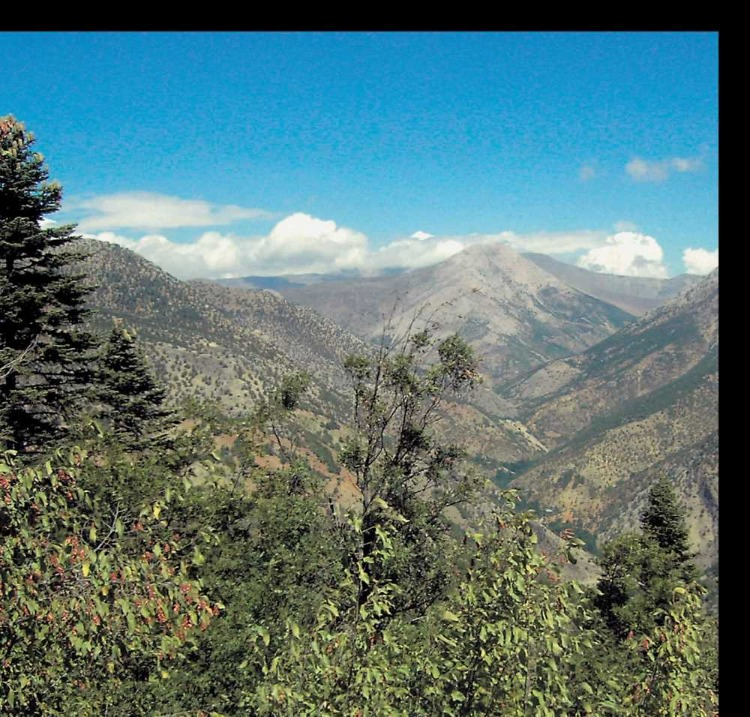 YAYLACILIK GELENEĞİ YAŞIYOR, ŞEKİL DEĞİŞTİRİYOR