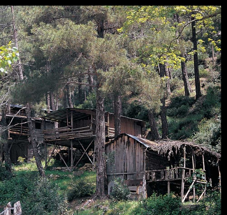 KOZAN YAYLALARINA NASIL GİDİLİR? ULAŞIM BİLGİLERİ