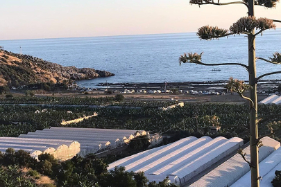 Doğa harikası plaj yakınında planlanan otel projesine tepki