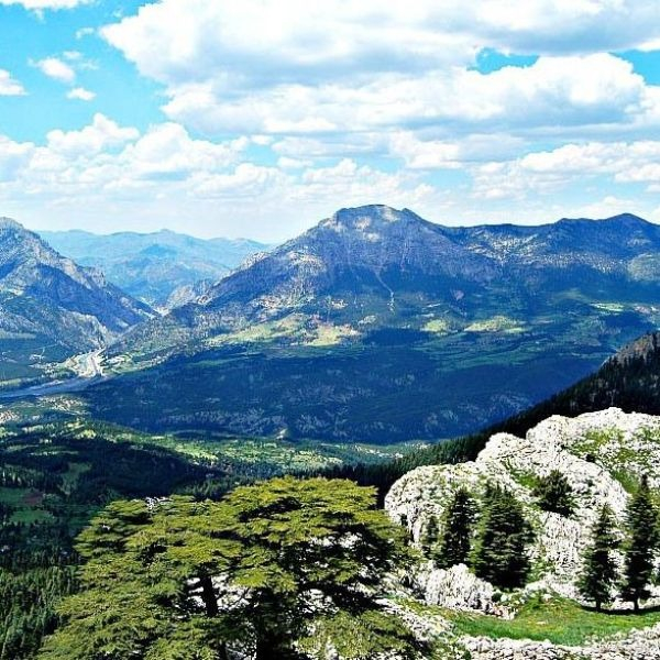 DOĞANIN KALBİNDE BİR KAÇIŞ NOKTASI