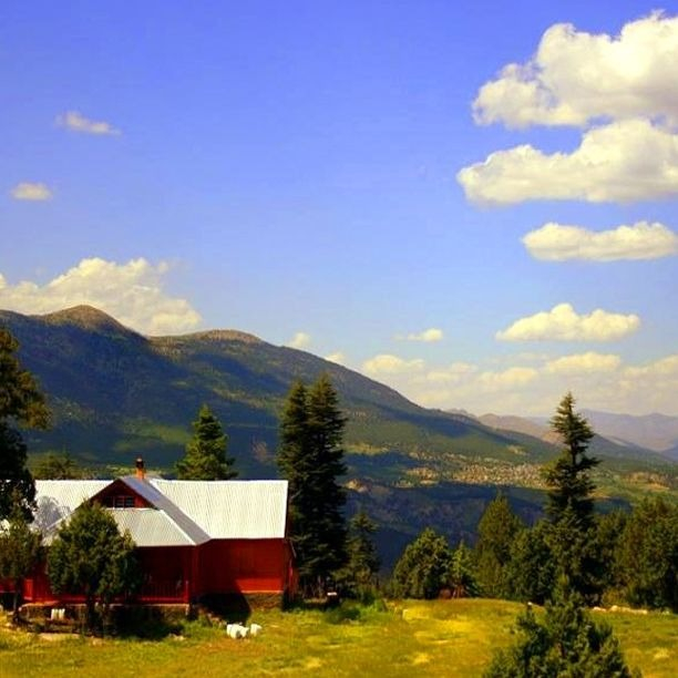 SEDİR, KÖKNAR VE ARDIÇLARIN ARASINDA HUZUR