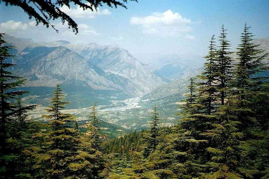 Sarımsak Dağı’nın eteklerinde saklı cennet! Bakir doğasıyla göz kamaştıran yayla: Pozantı-Armutoğlu yaylası