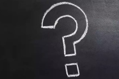 20 Mayıs Ne Günü? Dünya Arı Günü’nün Anlamı ve Önemi