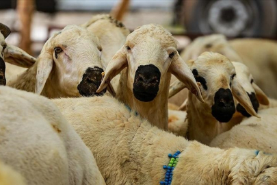 2025 Kurban Bayramı tatili 9 gün olacak mı? Gözler Kabine Toplantısında