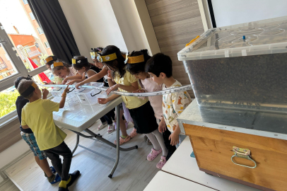 Dünya Arı Günü’nde miniklere arıcılık dersi