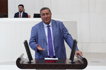 Gürer: Hayvancılıkta sorunlar ithalatla çözülmüyor, yerli üretici sıkıntıda