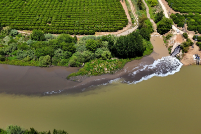 Ceyhan Nehri köpürdü, koku dayanılmaz hale geldi!