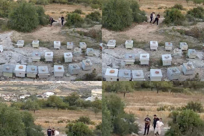 Mersin'de arılığa taşlı saldırı güvenlik kameralarına yansıdı