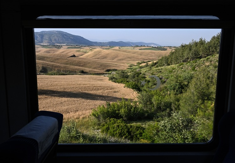 Ormanlık Alanlar Arasında Yolculuk