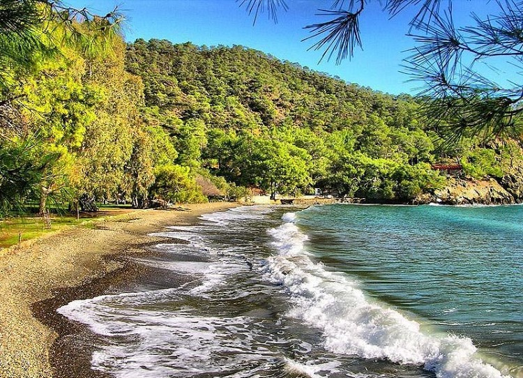 Katrancı Koyu Tabiat Parkı