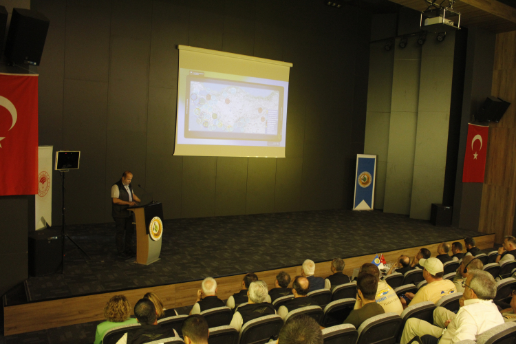 Orman Genel Müdürlüğü