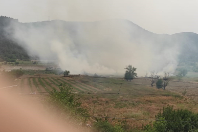 Osmaneli’nde anız yangını büyümeden söndürüldü