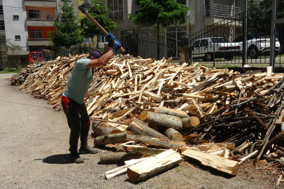 Trabzon’da Paşa Yıldız günde 3 ton odun kırıyor