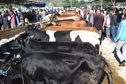 Adana’da 2025 kurbanlık fiyatları ve kesim ücretleri ne kadar oldu?