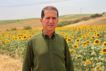 Adana’da günebakanlar tarlaları sarıya boyadı, üreticiler destek bekliyor