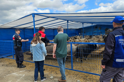 Eskişehir’de kurban satış pazarında kapsamlı denetim