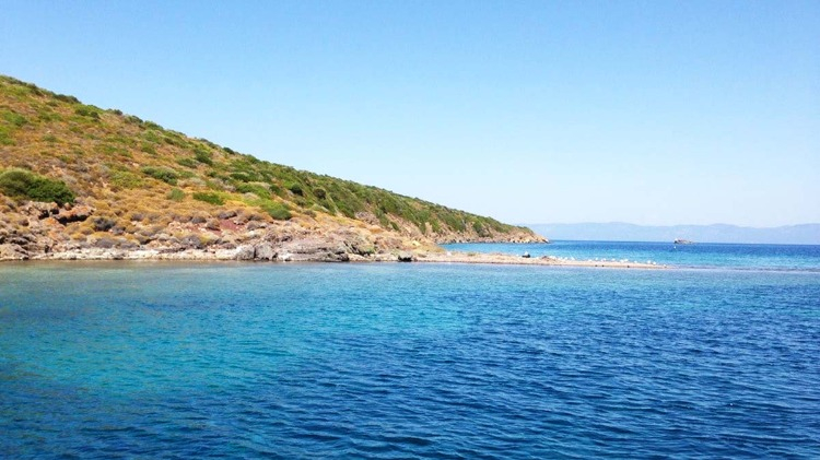 Maden Adasına Bakan Koy