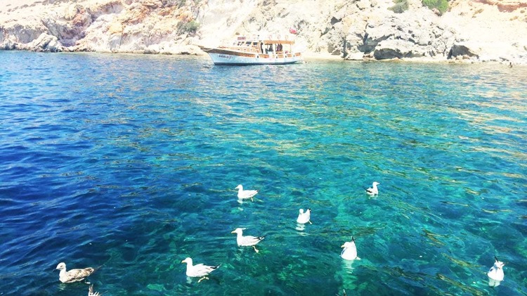 Akvaryum Koyu, Kara Ada