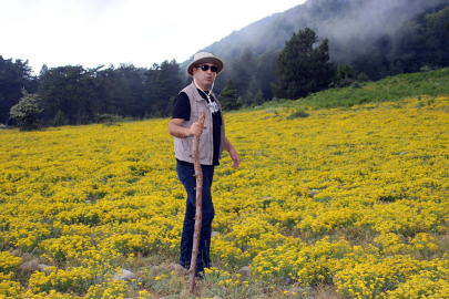 ‘Doğal zenginliklerimiz hızla tükeniyor’