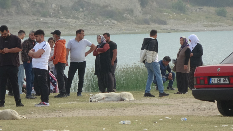 Adana’da tekneden göle düşen genci arama çalışmaları sürüyor 2