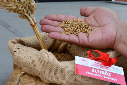 Adana'da yerli ve milli tohumlar 'Tarla Günü' etkinliğinde tanıtıldı