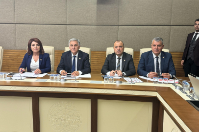 Barut: Zirai don felaketinde çiftçi mağduriyeti devam ediyor