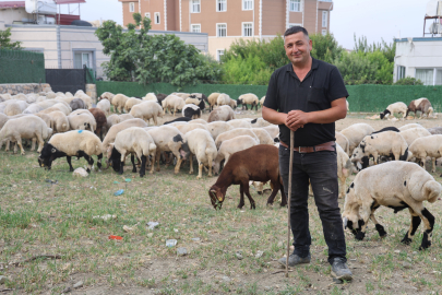 Hatay’da kurbanlık talebi arttı: Küçükbaş fiyatları 12 bin TL’den başlıyor
