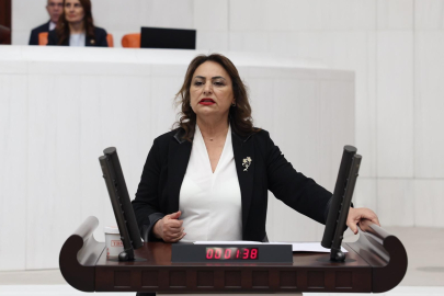 Dr. Şevkin: Ekosistem yok ediliyor, ÇED süreçleri ciddiyetle ele alınmalı