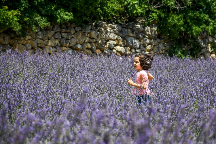 Göller Yaylası, Feke