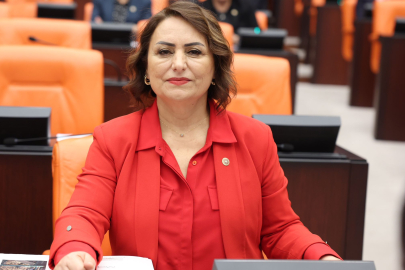 Dr. Şevkin: Cumhuriyet’in sanayi mirası özelleştirmeyle zayıfladı