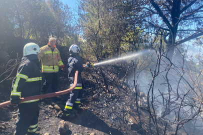 Hatay Arsuz'da ormanlık alanda çıkan yangın söndürüldü