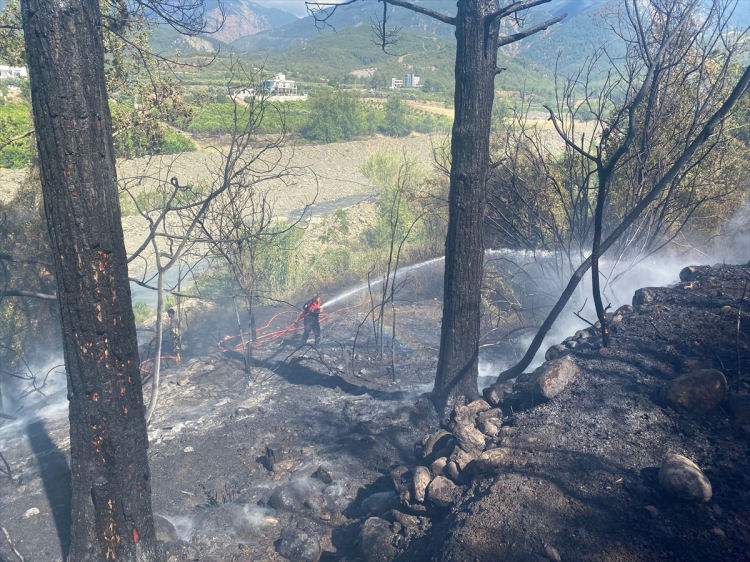 Hatay Arsuz'da ormanlık alanda çıkan yangın söndürüldü 2