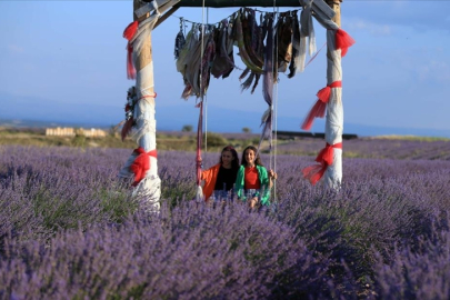 Burdur lavanta bahçeleri nerede? Lavanta bahçeleri gezi turları ne zaman başlayacak?