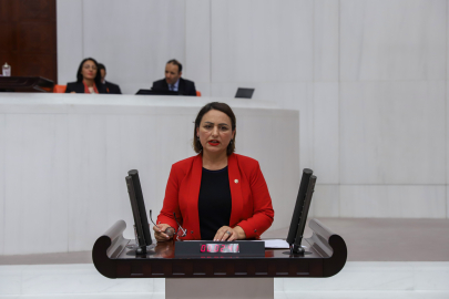 Dr. Şevkin: Adalet sistemi kadınları korumakta başarısız