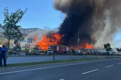 Kocaeli Çayırova'da palet fabrikasında büyük yangın