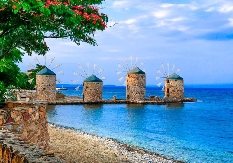 SAKIZ – LEZZETİN KÖKENİ