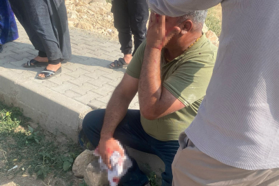 Şanlıurfa Hilvan’da çocuk kavgası büyüdü: 5 Yaralı