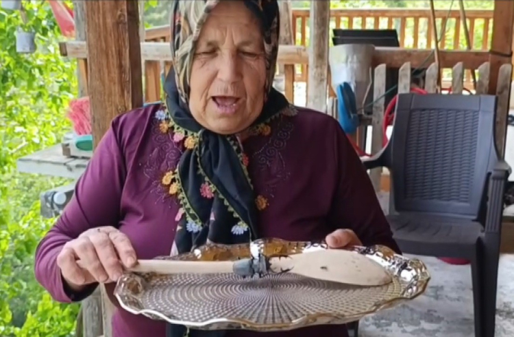 Adana'da görüntülendi Bu böceği öldürmenin cezası 557 bin TL 2