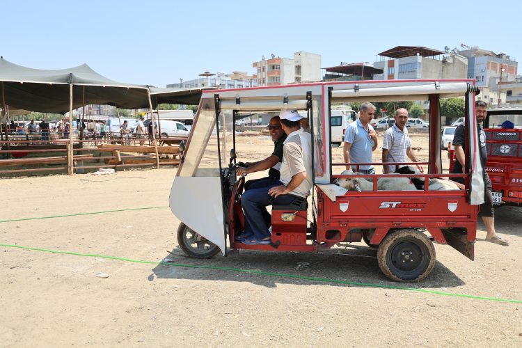 Adana'da kurbanlık fiyatları bayramın 2. gününde yüzde 40 düştü 3