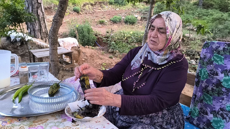 Sıcaktan bunalan Osmaniyeliler Zorkun Yaylası'na akın etti 3