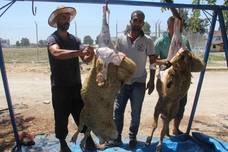 ​​​​kurban bayramı 