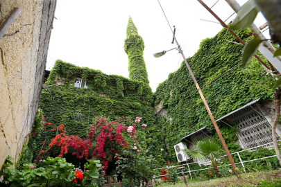 Adana'nın Yeşil Cami'si botanik bahçeyi andırıyor