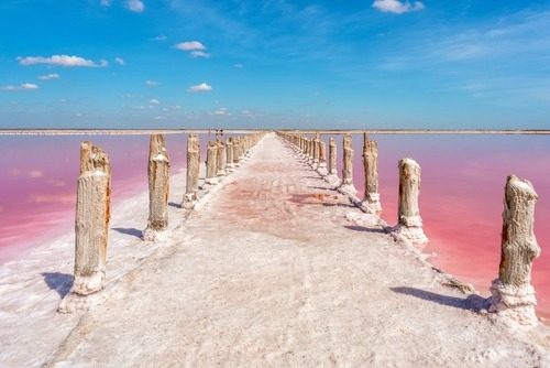 Kaktüs Plajı – Avustralya