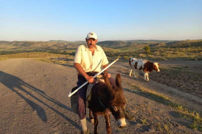 80 Bin TL maaşa çoban yok: Besiciler zor durumda