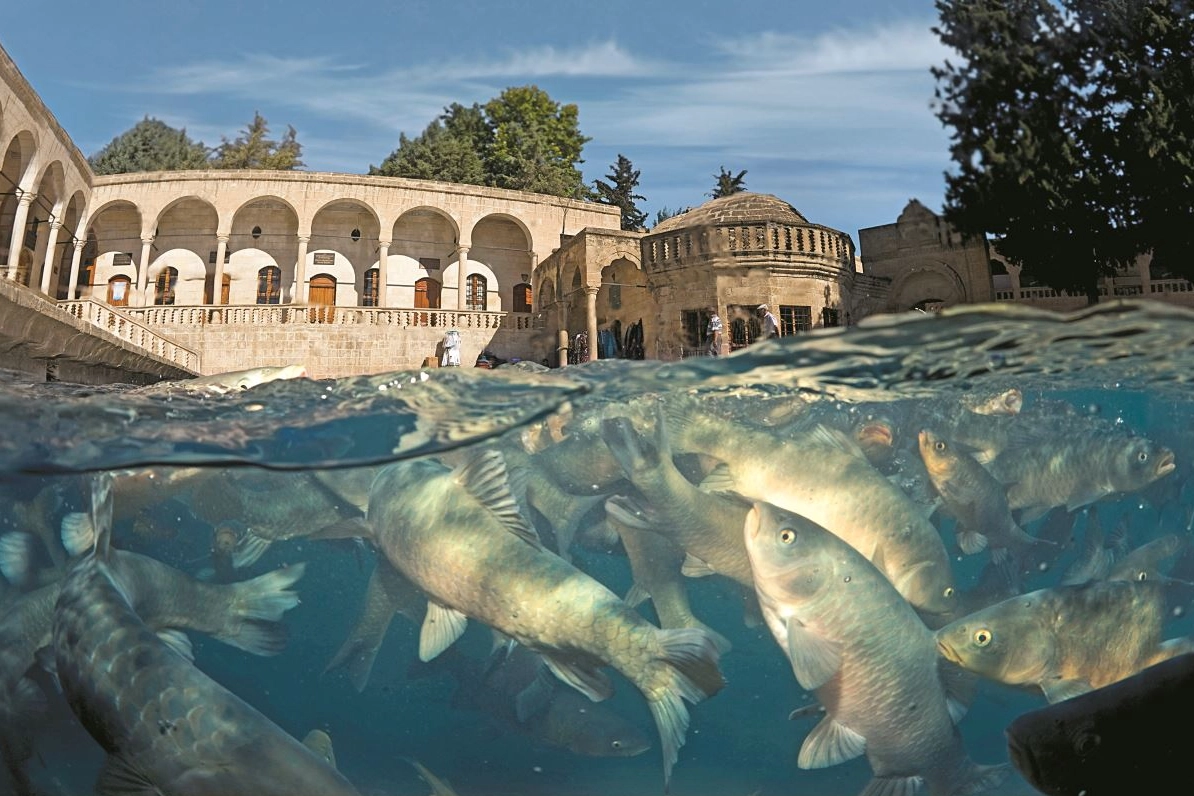 Adana'dan sadece 4 saat uzaklıkta bir cennet: Mucizeler diyarı Balıklıgöl için gezi rehberi