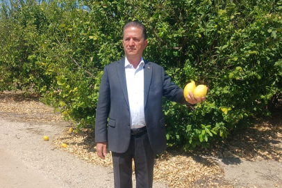 Başkan Doğan'dan don felaketine karşı acil eylem çağrısı: Çiftçinin yarasına ilk etapta pansuman lazım