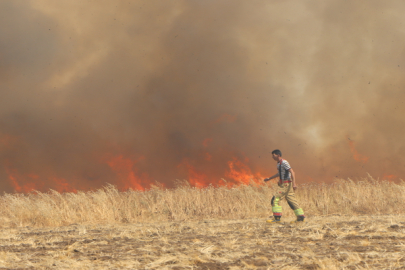 Manisa'da buğday tarlasında yangın! 20 dönüm alan küle döndü