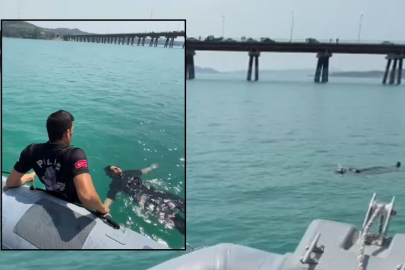 Seyhan Baraj Gölü'nde can pazarı