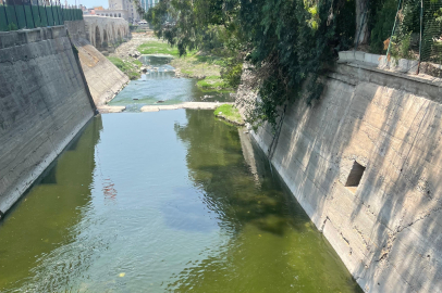 Seyhan Nehri yeşile büründü, vatandaşlar kirlilikten şikâyetçi